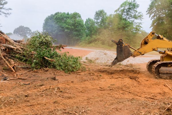 Ground Clearing in Greenfield
