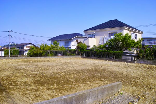 Cost of Lot Clearing Service in Greenfield