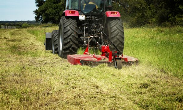 Brush Clearing Service in Greenfield