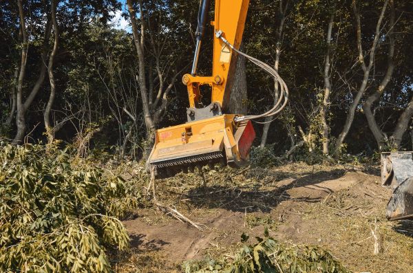 Brush Removal Service in Greenfield