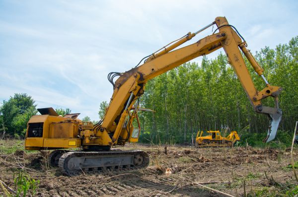 Cost of Farm Clearing in Greenfield