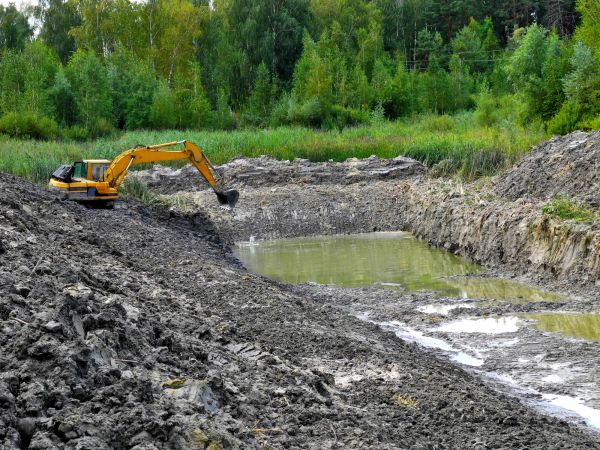 Cost of Lake Lot Clearing in Greenfield