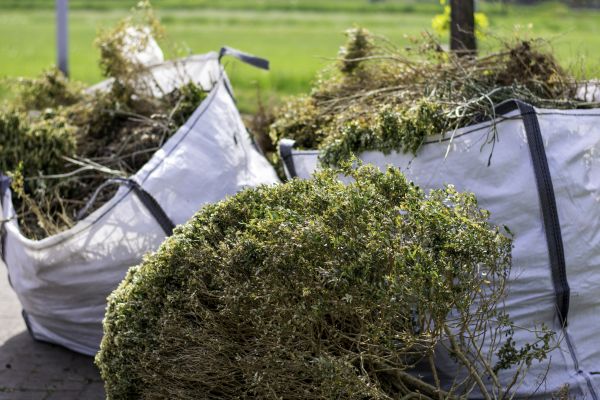 Cost of Bushes Clearing in Greenfield