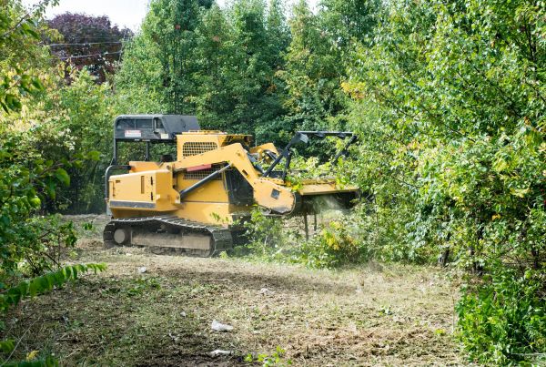Cost of Pathway Clearing in Greenfield
