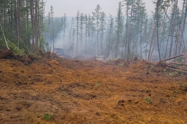 Cost of Hill Clearing in Greenfield