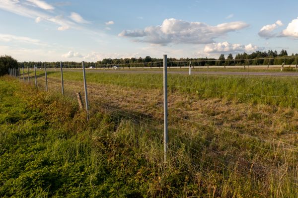 Cost of Property Line Clearing in Greenfield