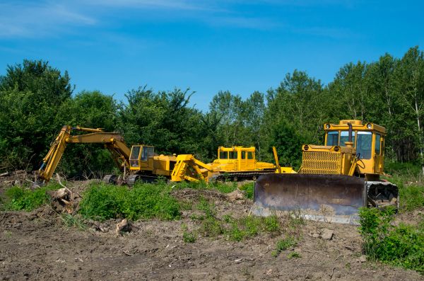 Cost of Bulldozer Clearing in Greenfield