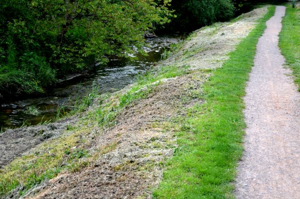Cost of Trail Cutting in Greenfield